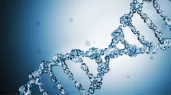 Alliance Pushes for Medicare Coverage of Genetic Counseling