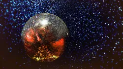 Boogie for Booties Disco Ball