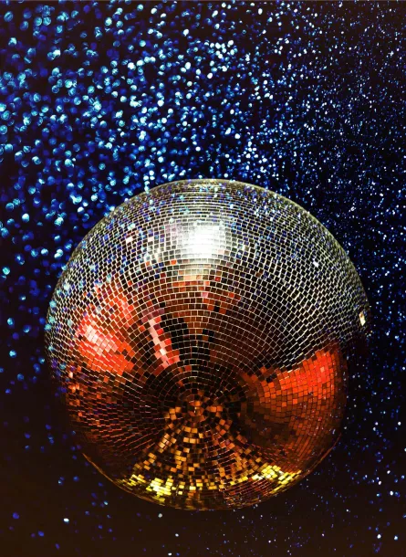 Boogie for Booties Disco Ball