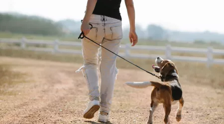 woman walking dog