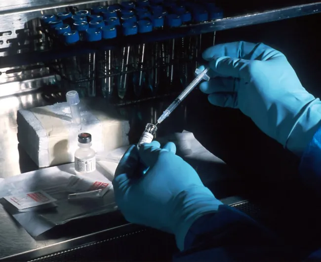 hands_in_gloves_with_sample