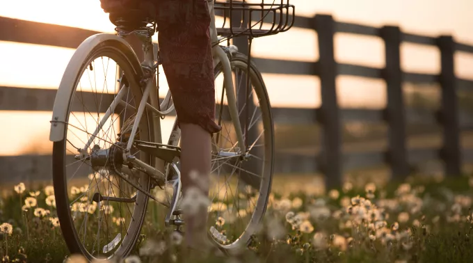 bike along fence