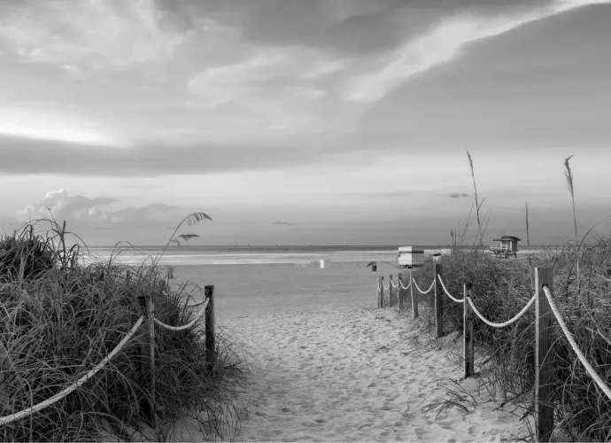 A black and white photograph of a path leading to a beach