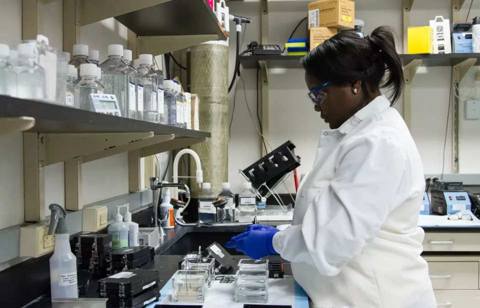 Woman in lab working