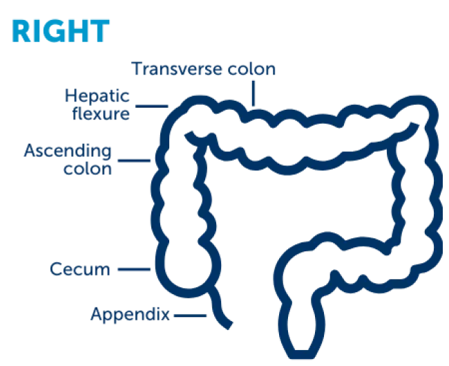 colon_right_side