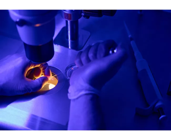 biopsia