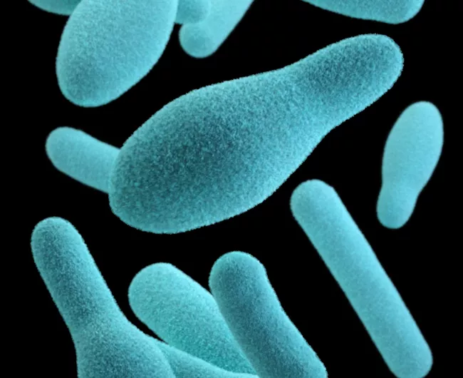 blue cells on a black background