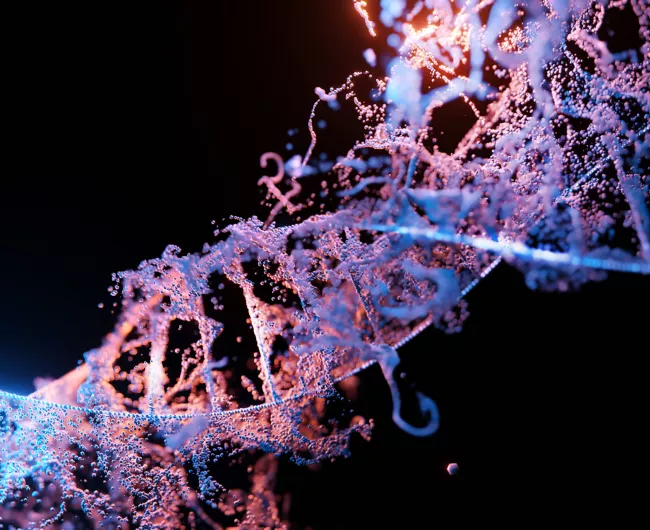 damaged DNA