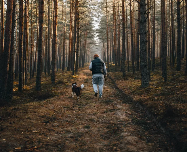 man walking dog in woods