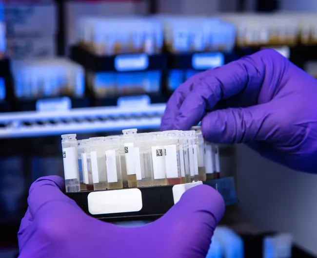 purple glove collects sample