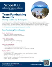 Team Fundraising Rewards - DC SIO img