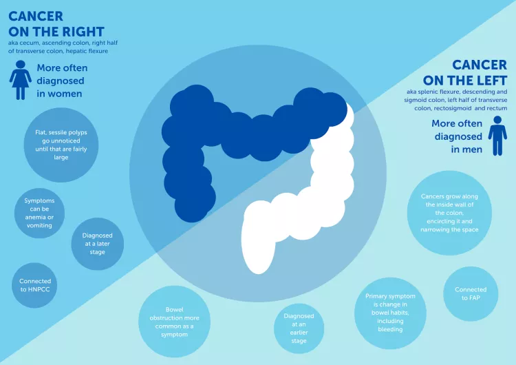 right left image breakdown